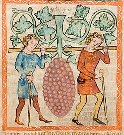 How’s Your Garden Growing? A Sermon on Matthew 21:33-46