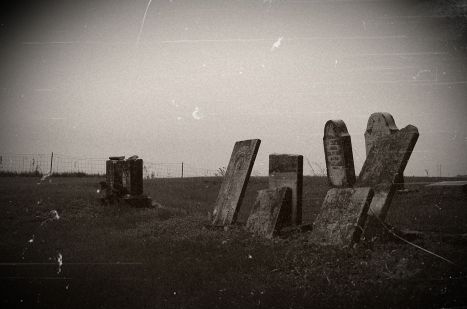 "Dust to Dust (7151084157)" by Wayne Wilkinson - Dust to DustUploaded by AlbertHerring. Licensed under CC BY 2.0 via Wikimedia Commons - http://commons.wikimedia.org/wiki/File:Dust_to_Dust_(7151084157).jpg#/media/File:Dust_to_Dust_(7151084157).jpg