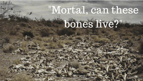 Disappointment and Unanswered Questions – A Sermon on John 11:1-45 and Ezekiel&nbsp;37:1-14