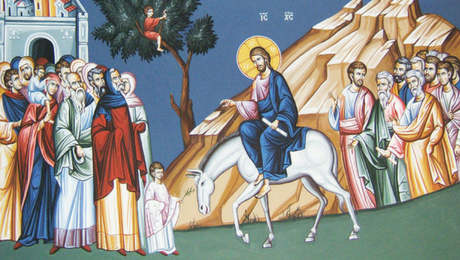 Will to Power or Will to Life? – A Palm Sunday Sermon on Matthew&nbsp;21:1-11