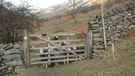 Try Them Apples On For Size – A Sermon on John&nbsp;10:1-10