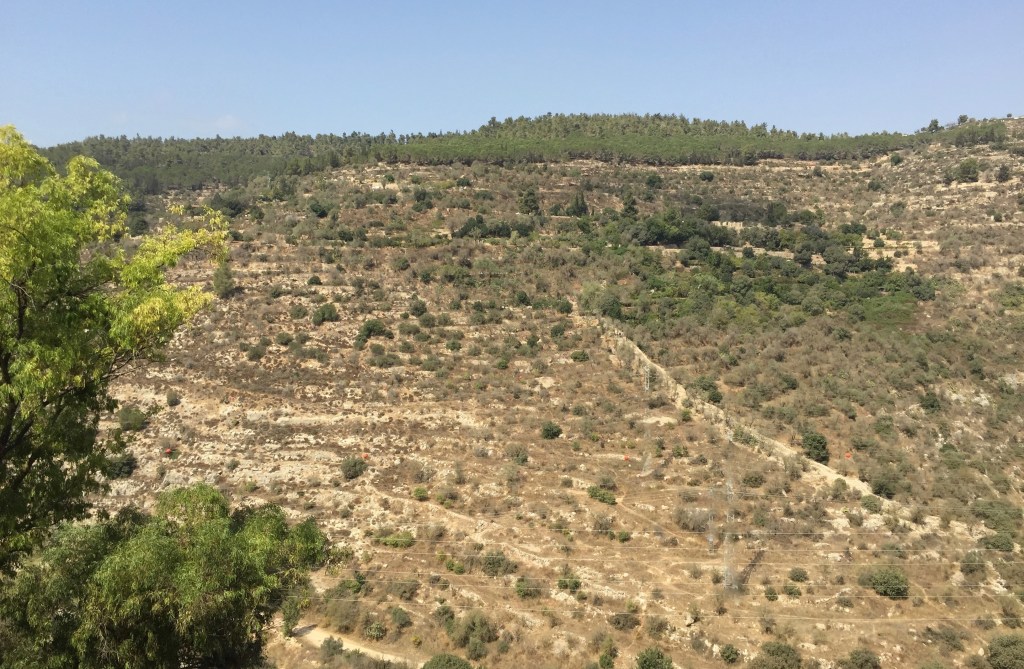 Comfort For The Displaced – A Sermon on Mark 1:1-8 for Advent 2B