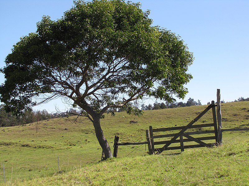 Opening Gates – A Funeral Sermon For A&nbsp;Nonbeliever