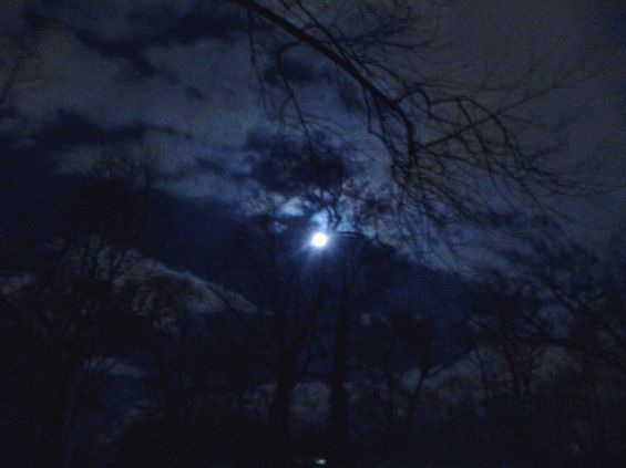 Sermon, Advent, Advent 1C, Future, Impossible, Luke 21:25-36, John Caputo