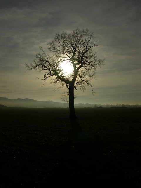 A Weak and Troubled Soul – A Sermon On John 12:20-36 For Tuesday In Holy&nbsp;Week