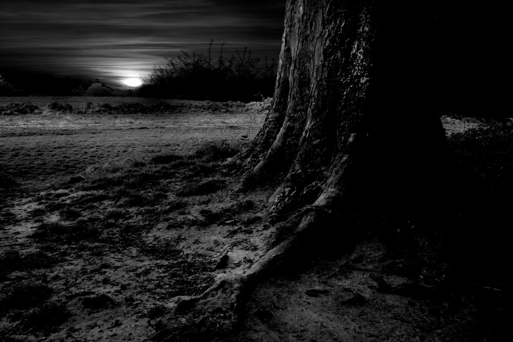 The Night Of Betrayal – A Sermon On John&nbsp;13:21-32