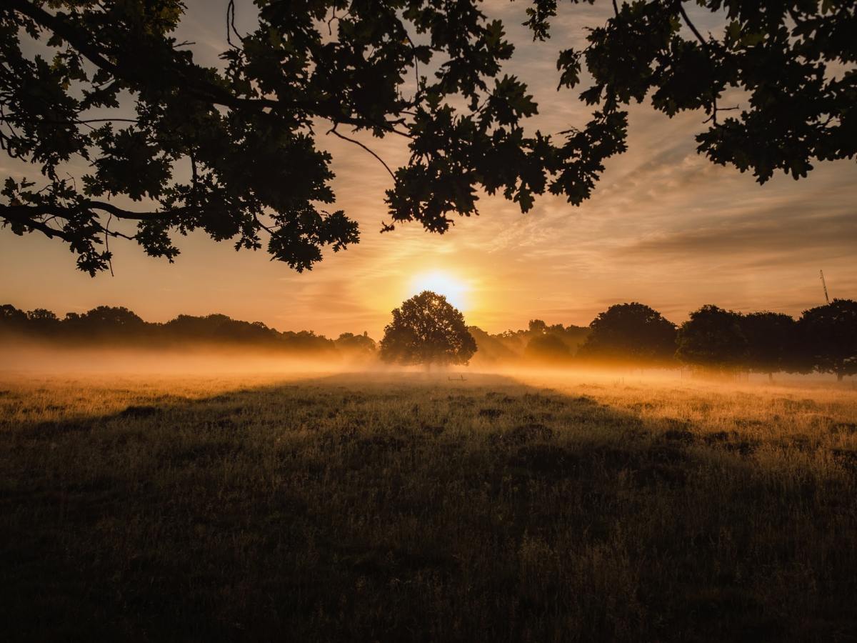 The Days Will Surely Come – A Sermon On Jeremiah&nbsp;33:14-16