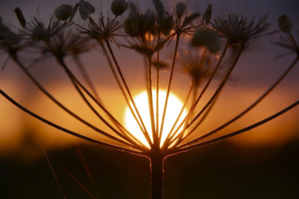 Healing Our Divided Life – A Sermon On Matthew&nbsp;5:21-37