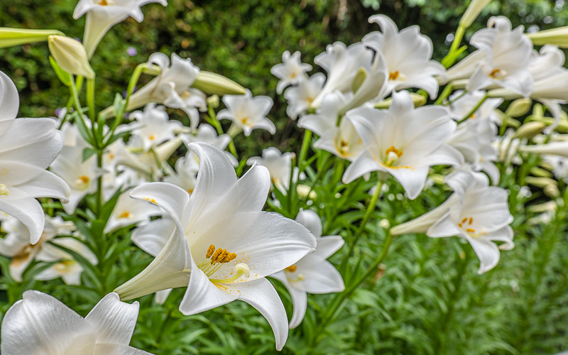 Sermons For Easter Sunday And Holy Week 2023