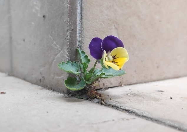 It’s Easter, Make A Little&nbsp;Effort.